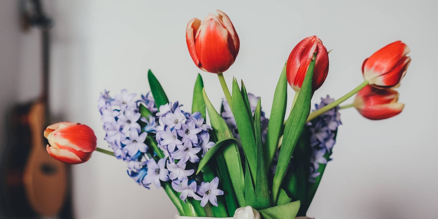 26619865573_565fed9b92_k-1